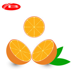 Orange fruit with leaf and slice. Vector illustration