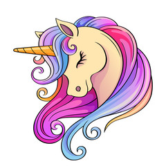 Cute cartoon unicorn head with rainbow mane © alka5051