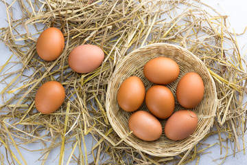 Brown chicken eggs in a basket on a separate straw on a white background.