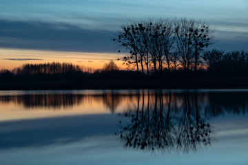 Plakat Trees on the shore of the lake, mirror image of evening clouds in the water in eastern Poland