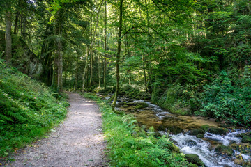 Fototapeta na wymiar water stream with mossy rocks in a German forest.