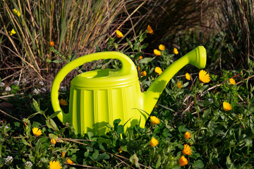 Green watering can next to some flowers in the countryside.