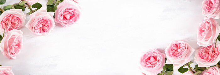 Rose Background Photos Royalty Free Images Graphics Vectors Images, Photos, Reviews