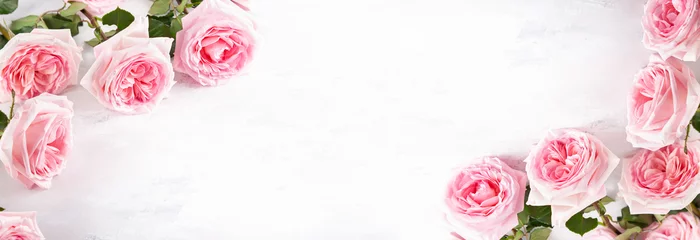 Poster Beautiful pink roses flowers © Svetlana Kolpakova