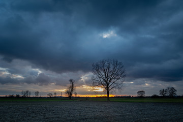 Obraz premium Dark clouds in the sky after sunset, plowed field and trees