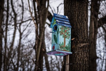 birdhouse on tree