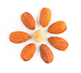 Kernels of nuts almonds  and hazelnuts lying in the shape of a flower isolated on white background top view
