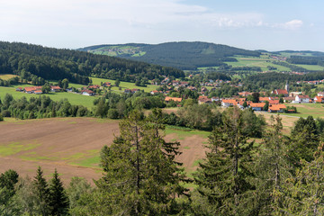 Tree tower, Tree Top Walk, Bavarian Forest National Park, Neusch&ouml;nau, Bavaria, Germany