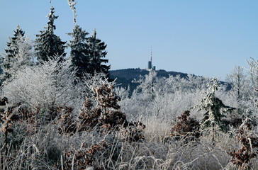 Hoar frost, Ice, Ice crystal, Heuberg, Friedrichroda, Thuringia, Germany, Europe