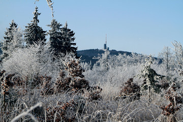 Hoar frost, Ice, Ice crystal, Heuberg, Friedrichroda, Thuringia, Germany, Europe
