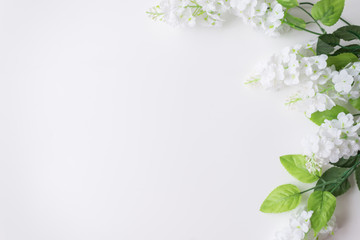 Spring and summer background. White flowers with greenery on a white background. Space for text