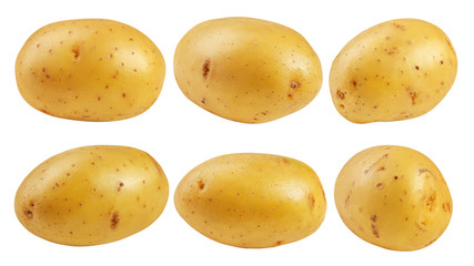 potato, isolated on white background, clipping path, full depth of field