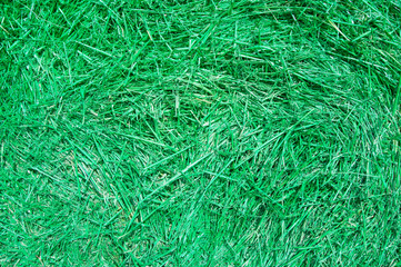 Straw, dry green straw texture background for design.