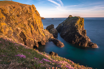 Dramatic scenery at Kynance Cove in Cornwall in the West Country, England, UK