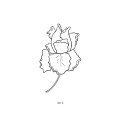 Greenery design elements. Botanical logos.