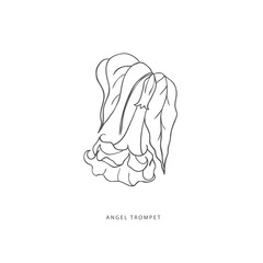 Greenery design elements. Botanical logos.