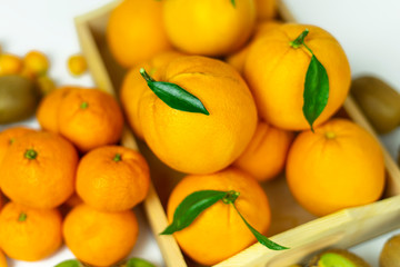 Tropical fruits in bulk: orange, mandarin, kumquat, kiwi. Fresh fruits, food on a white background.