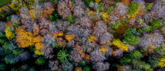 Aerial view Autumn landscape in Bavaria near Miesbach. top view of the autumn forest. Beautiful autumn colors. Yellow and green trees
