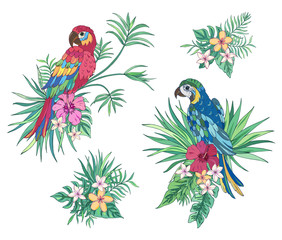 Tropical collection parrots. Vector design isolated elements on the white background. Exotic flowers and palm leaves. Exotic set tropical for wedding invitations, greeting card and fashion design.