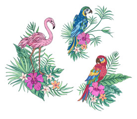 Tropical collection parrots and flamingo. Vector design isolated elements on the white background. Exotic flowers and palm leaves. Exotic set tropical for wedding invitations, greeting card.