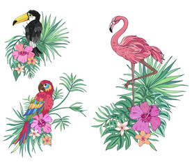 Tropical birds collection: parrot, flamingo and toucan. Vector design isolated elements. Exotic flowers and palm leaves. Exotic set tropical for wedding invitations, greeting card and fashion design.