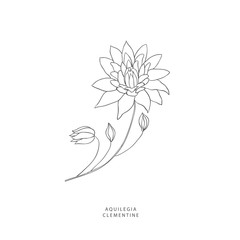 Greenery design elements. Botanical logos.