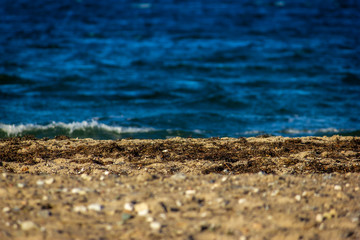 Strand mit Sand und Algen am Meer
