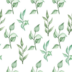 Watercolor botanical seamless pattern with green leaves