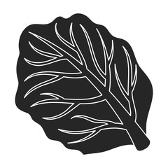 Leaf of cabbage vector icon.Black,simple vector icon isolated on white background leaf of cabbage .
