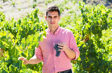 worker at grape farm