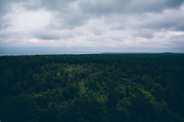 Obraz premium Beautiful landscape view of woodland, trees, ocean and cloudy sky