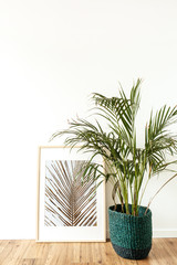 Home plant tropical palm in rattan pot in front of photo frame. Minimal modern interior design concept.