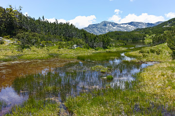 Small lakes near The Fish Lakes (Ribni Ezera), Rila mountain