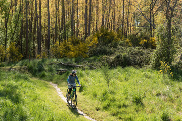 A female, baby boomer cyclist riding a path as it emerges from a forest into a grassy meadow in New Zealand.