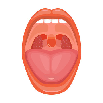 Mouth vector icon.Cartoon vector icon isolated on white background mouth.