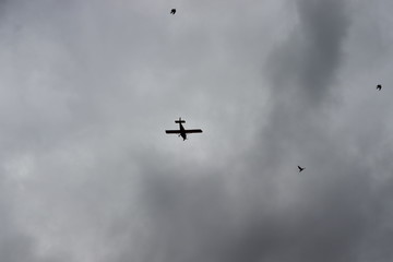 airplane flying in the sky