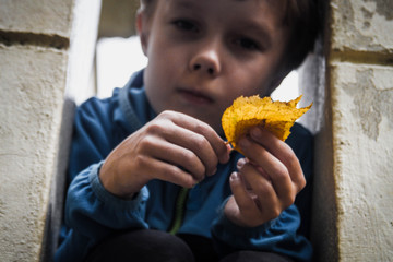 The boy is sad about the beginning of autumn. The boy doesn't want to go to school. The child holds in her hands yellow leaves in autumn.
