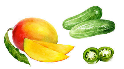 Cucumbers mango jalapeno watercolor isolated on white background
