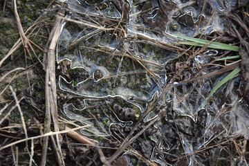 frozen puddle ice winter