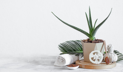 Spa composition with care items on a light background