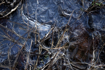frozen puddle ice winter