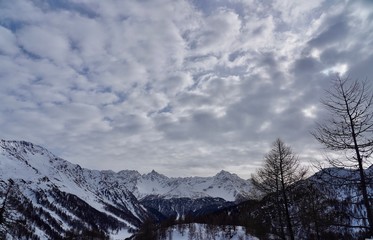 Fototapeta premium Alps