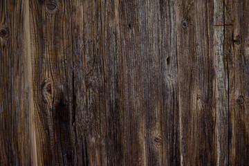 Obraz premium Surface of old wood for design