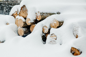 Felled trees under the snow. Raw materials for the woodworking industry. Wood storage in the open air. Timber company. Timber. Roundwood. Round timber