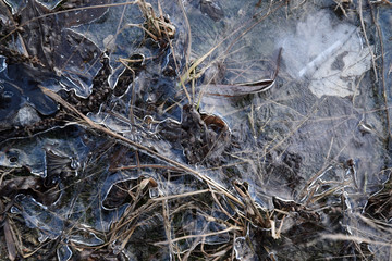 frozen puddle ice winter