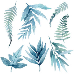 watercolor illustration of blue tropical leaves, green branches, fern.