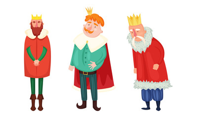 Kings in special costumes and golden crowns vector illustration