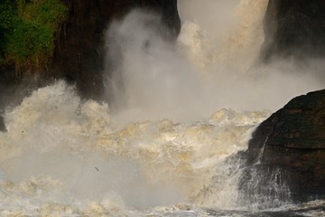 Fototapeta na wymiar The Murchison Falls in Uganda