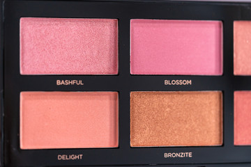Palette blush