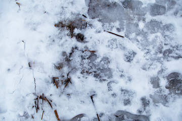 Bizarre background, snow and ice